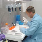 Помощь юриста при установлении отцовства