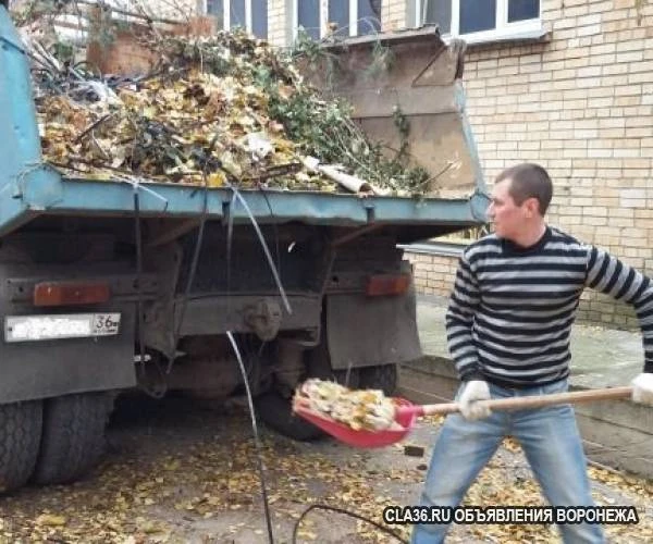 Фото Вывоз мусора уборка территории