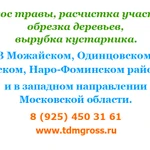 Покос травы, кошу траву, расчистка участка, уборка, обустройство территории.