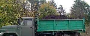 Фото Навоз чернозём гравий песок