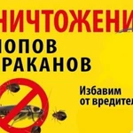 Фото №2 Уничтожение тараканов клопов