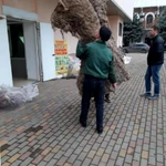 Фото №2 Переезд недорого Дзержинский