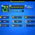 Опытный тренер Brawl Stars