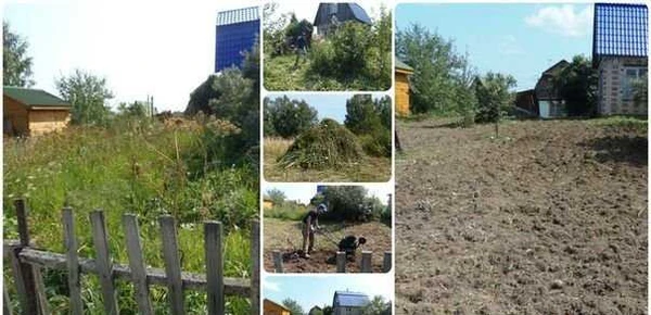 Фото Выкорчёвка. Восстановление сада.мастер в сад