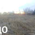Фото №4 Расчистка участка от кустарника и деревьев. ОТЗЫВ КЛИЕНТА.