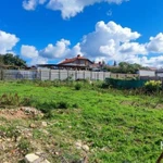 Фото №3 Лот  74633 Срочная продажа! Отличный участок в минуте ходьбы от остановки.