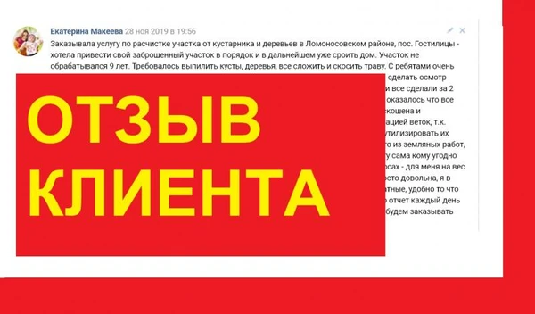 Фото ОТЗЫВ Екатерины. СПИЛ ДЕРЕВЬЕВ И КУСТАРНИКА ЛОМОНОСОВ.
