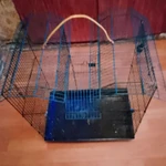 Фото №6 Клетки для грызунов 2 штуки можно отдельно