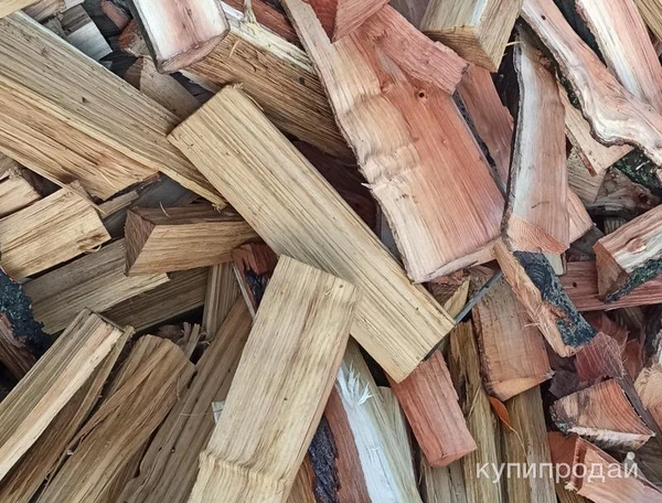 Фото ДРОВА ТВЁРДЫХ И МЯГКИХ ПОРОД
