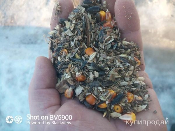 Фото Различные корма для с/х животных и птиц