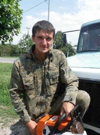 Фото Спиливание деревьев