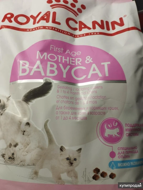 Фото Роялл Канин для котят 1.5 кг