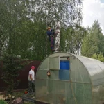 Фото №2 Спил опасных деревьев