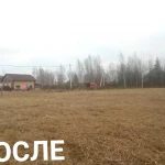Фото №18 Расчистка участка от кустарника и деревьев. ОТЗЫВ КЛИЕНТА.