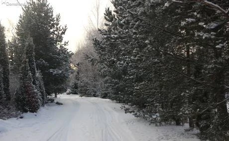 Фото Земельные участки под ИЖС в Коломенском районе