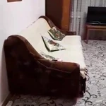 фото Пролетарский пр-т 39 2-к квартира, 53 м2, 11/15 эт.