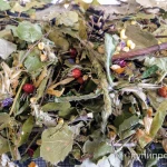 Фото №2 Свежие веточки березы, липы, ивы, осины