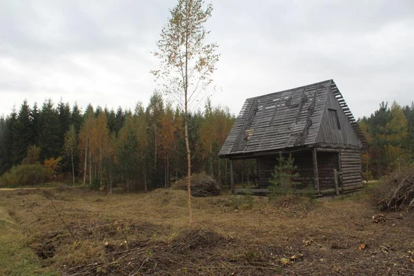 Фото Уборка участка от кустарника и деревьев. ОТЗЫВ КЛИЕНТА. 