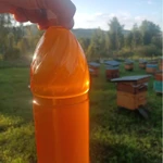 Фото №3 Продам мёд