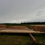 Фото №10 Срубы дома и бани
