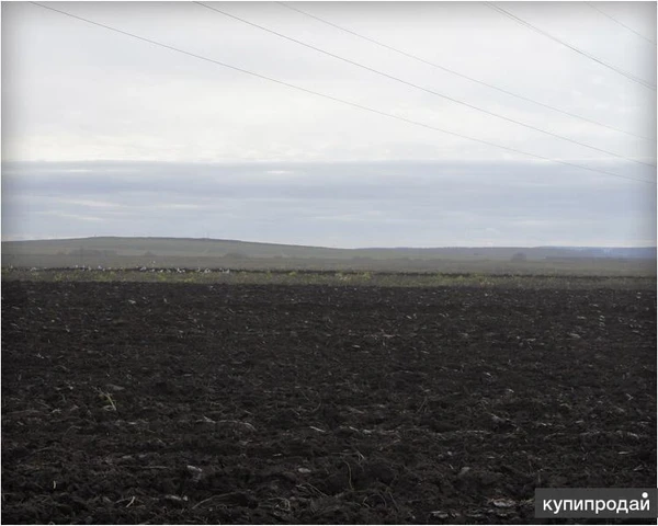 Фото Продам, сдам в аренду, обменяю на недвижимость