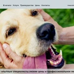 Фото №6 Разработка сайтов-Веб-Дизайн