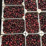 Фото №5 Продаем черешню