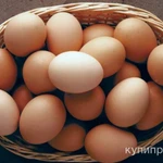 фото Яйца куриные и утиные