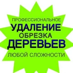 Спил деревьев (обрезка деревьев)