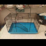 Фото №4 Когтеточка большая