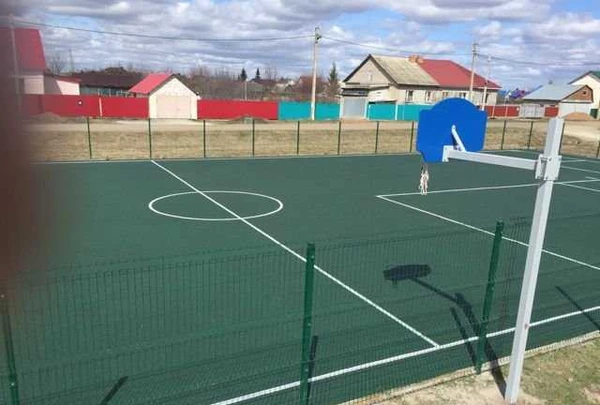Фото Резиновое покрытие из резиновой крошки