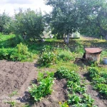 Фото №6 Срочно продам дачу