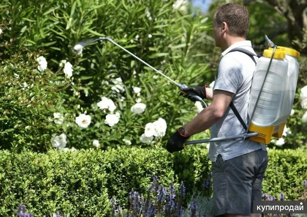 Фото Работа садовником Воронеж. Чертовицы, Девица, Никольское.