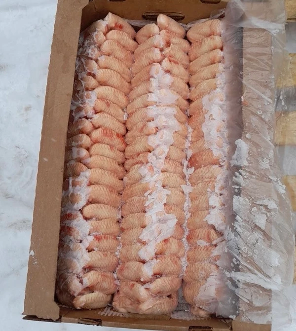 Фото Крыло Цб (З фалланги) елка