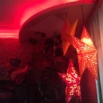 Фото №5 Муж на полдня