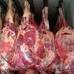 Фото №2 Мясо конина Халяль