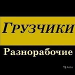 Грузчики разнарабочие