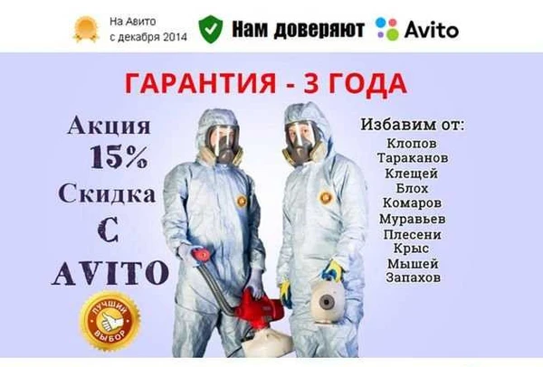 Фото Уничтожение клопов, тараканов, клещей, грызунов