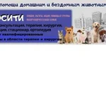 Ветеринарный центр помощи животным Зоосити