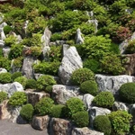 Альпийская горка Белгород