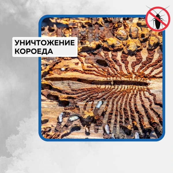 Фото Фумигация 