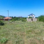 Фото №11 Лот  74236 Ровный, четырехугольный участок со сторонами 39 х 27 х 32 х 26