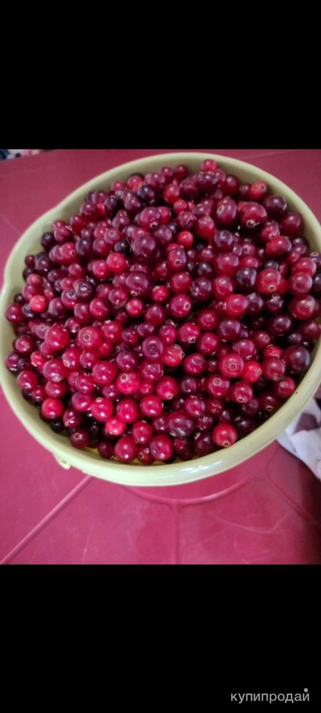 Фото Продам клюкву литр 300 рублей