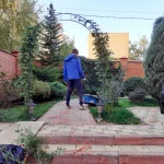 Фото №2 Обрезка деревьев, услуги садовника