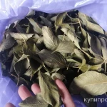 Фото №3 Листья сливы дикой. Цена за 50 грамм.