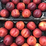 фото Продаем нектарин