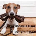 Собачья няня (Выгул/Уход/Сопровождение к врачу)