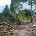 Заказать расчистку участка. микрорайон ВАИ, Стрелица, Хреновое.