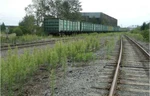 фото Жд тупик, рабочий 1900метров, промышленная земля 4,3 Га. газ