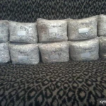 Фото №11 Грибы, мицелий ежовика гребенчатого (гериций, львиная грива, ямабушитаке)